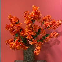 Zijde Bougainvillea Oranje RozenRo Puttershoek s-Gravendeel